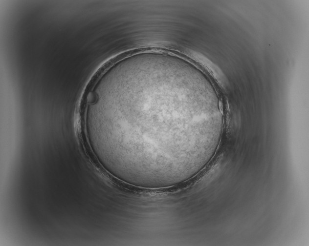 X0000102390924200808081224