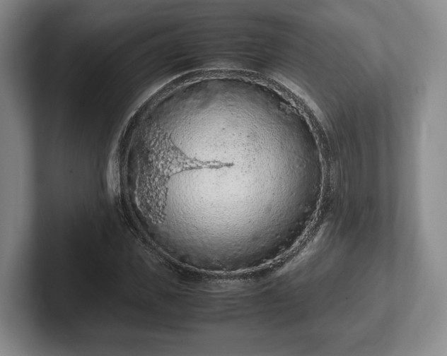 X0000102390925200808081224