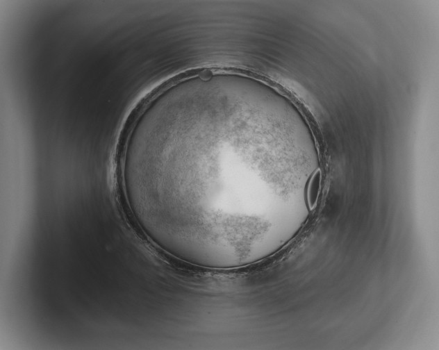 X0000102390928200808081224