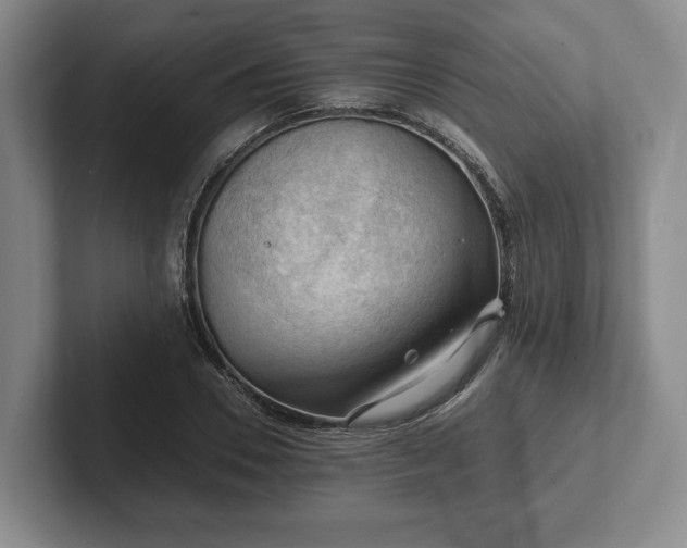 X0000102390930200808081224