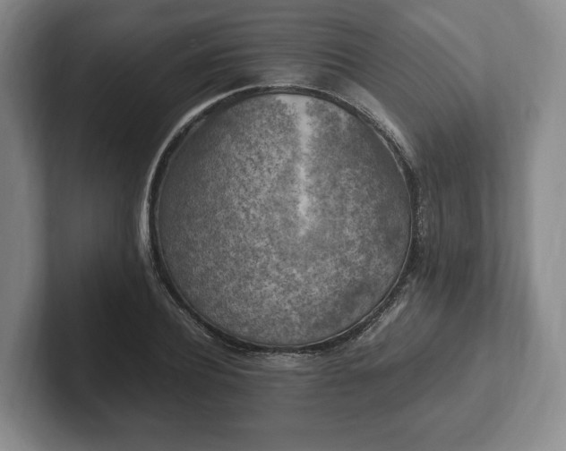 X0000102390932200808081224