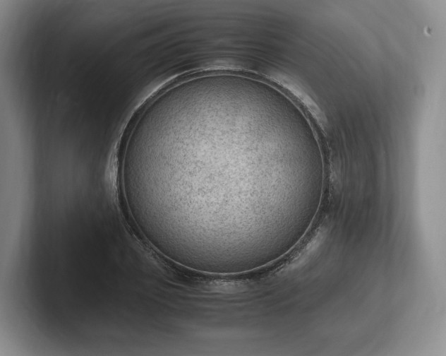 X0000102390933200808081224