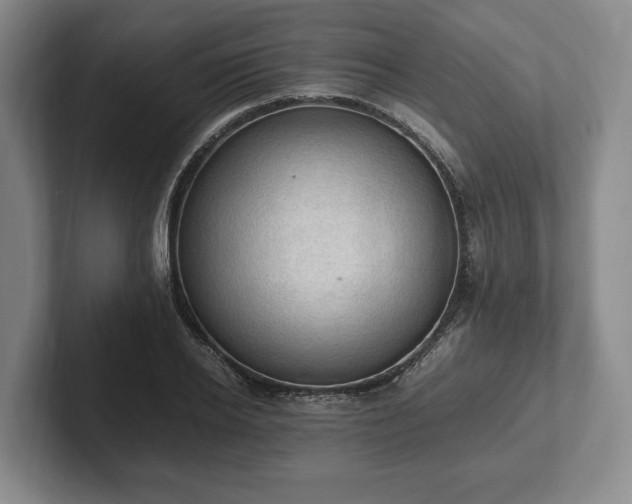 X0000102390934200808081224