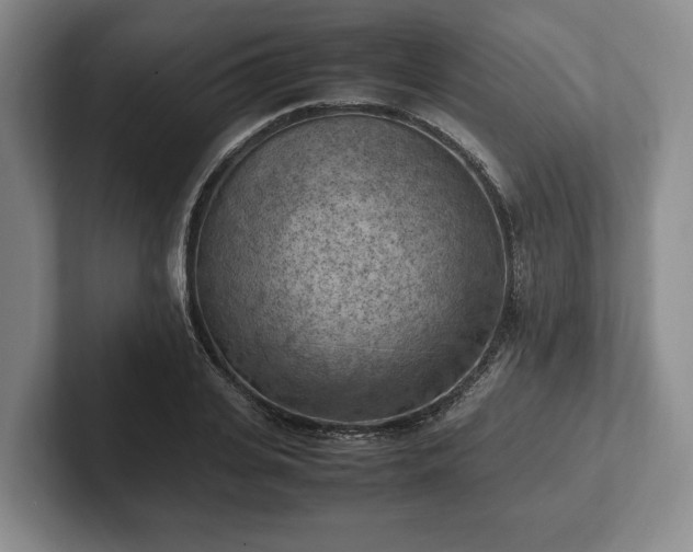 X0000102390935200808081224