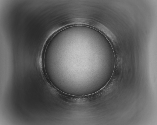 X0000102390936200808081224