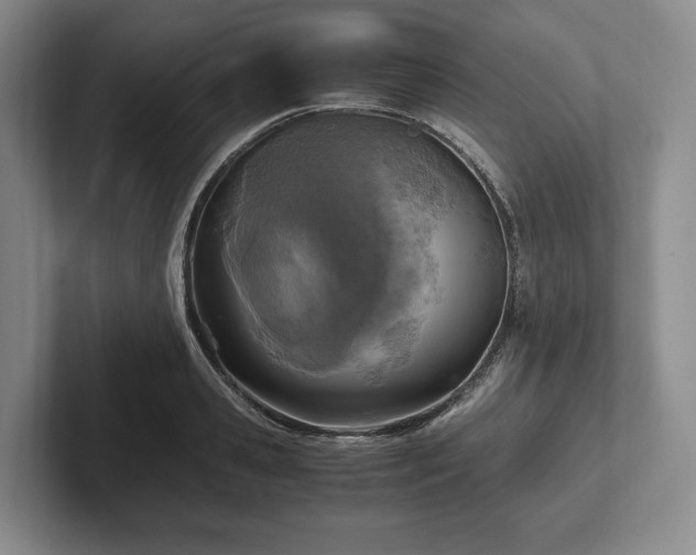 X0000102390941200808081224