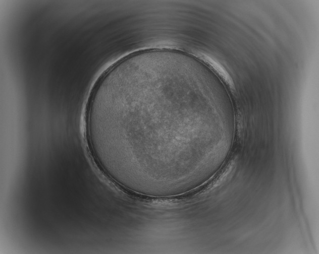 X0000102390944200808081224