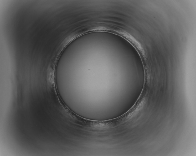 X0000102390945200808081224