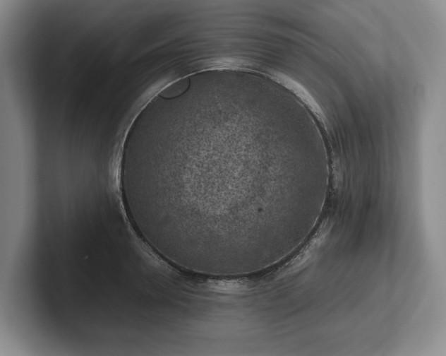 X0000102390946200808081224