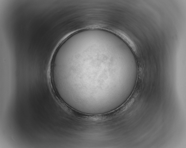 X0000102390948200808081224