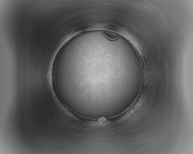 X0000102390949200808081224