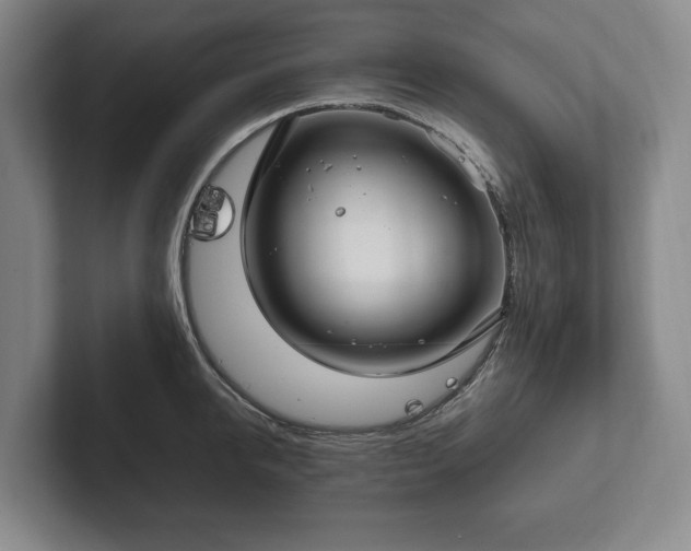 X0000102390950200808081224