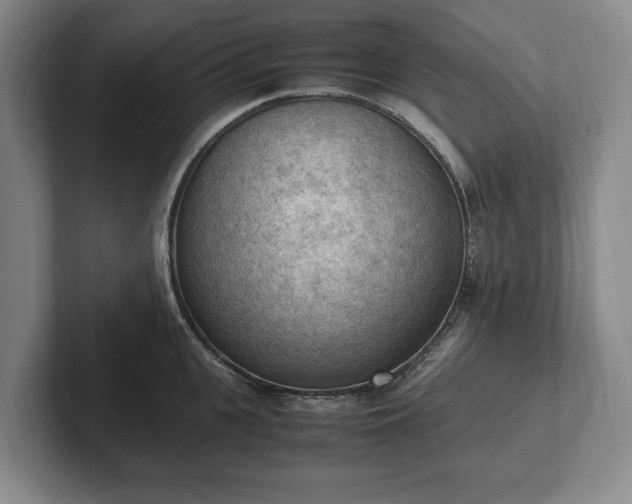 X0000102390951200808081224