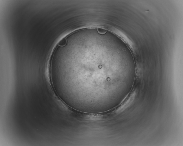 X0000102390952200808081224