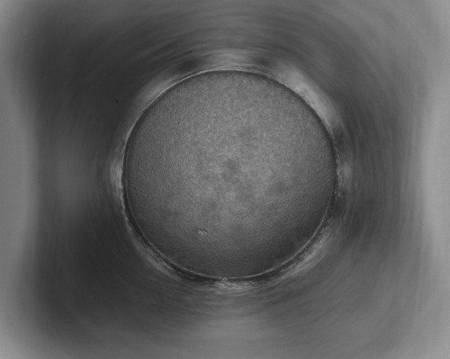 X0000102390954200808081224