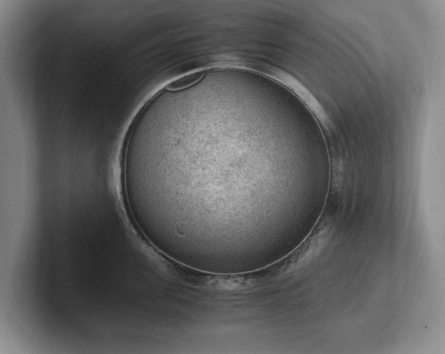 X0000102390955200808081224