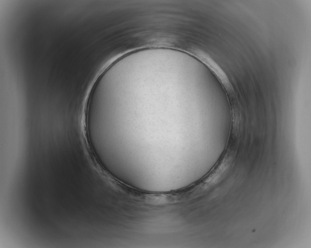 X0000102390956200808081224