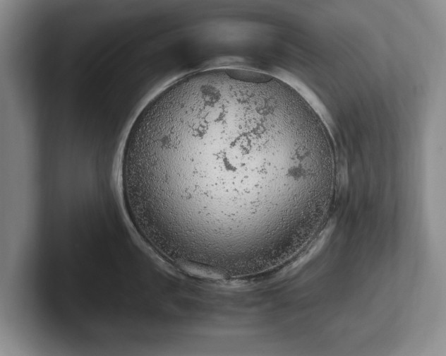 X0000102390957200808081225