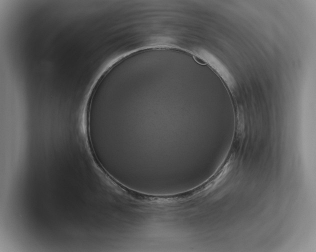 X0000102390958200808081225