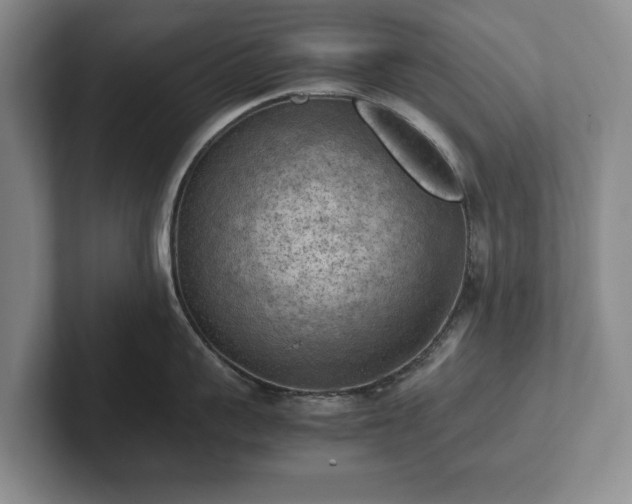 X0000102390959200808081225