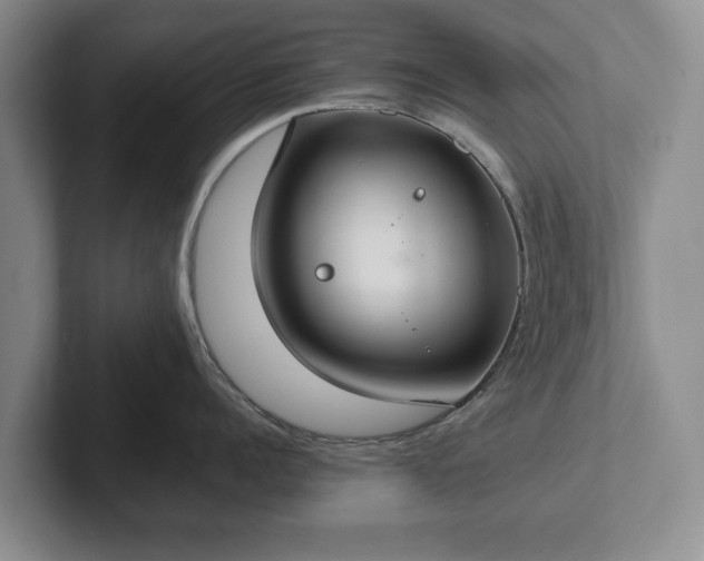 X0000102390960200808081225