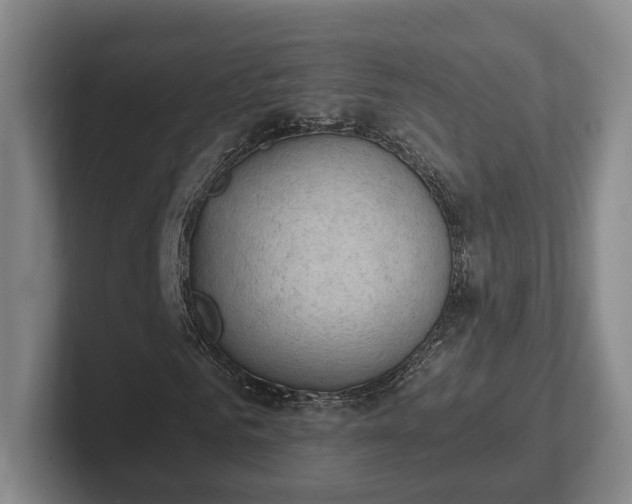 X0000102390961200808081224