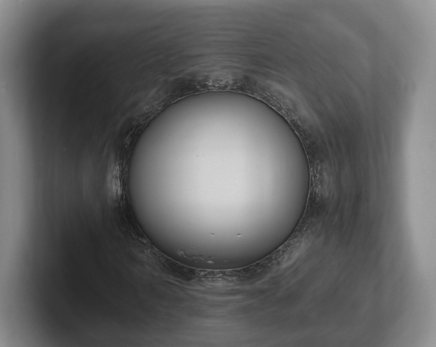 X0000102390962200808081224