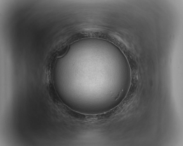 X0000102390965200808081224