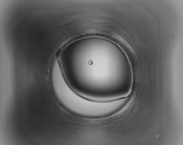 X0000102390969200808081224