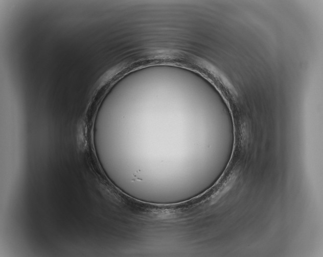 X0000102390970200808081224