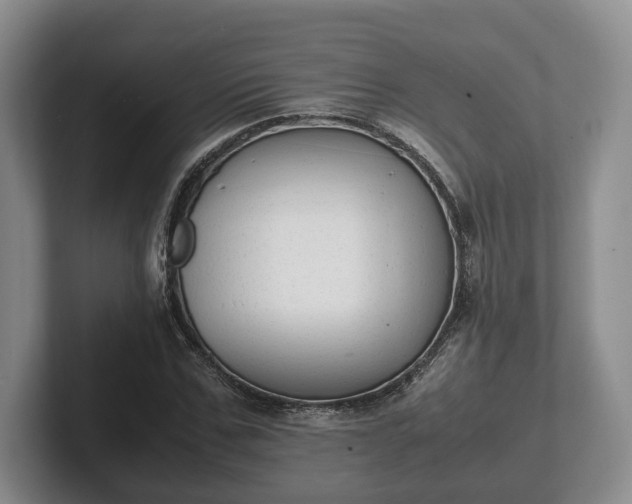 X0000102390971200808081224