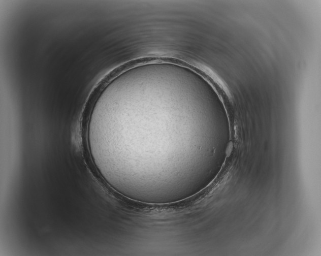 X0000102390972200808081224