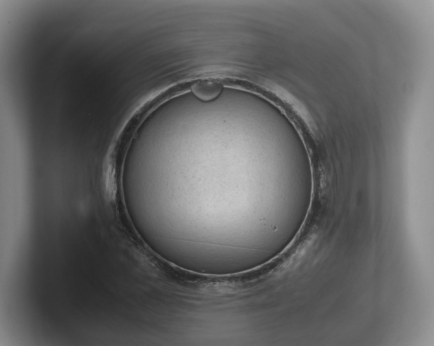 X0000102390973200808081224