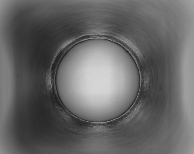 X0000102390974200808081224