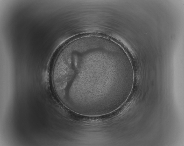 X0000102390975200808081224