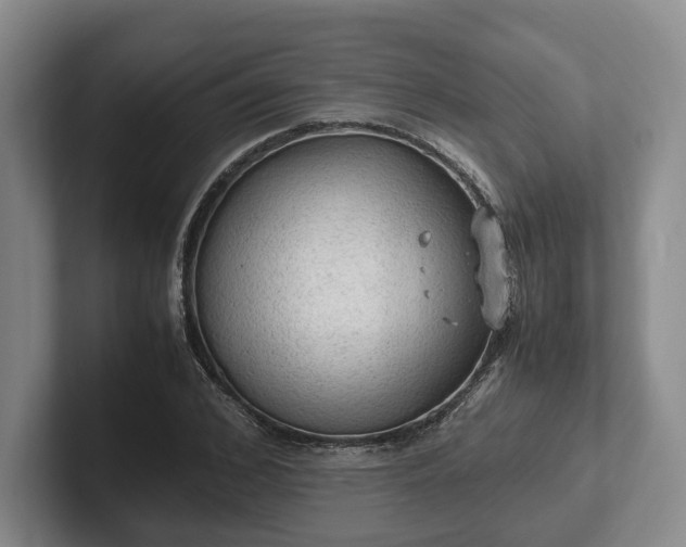 X0000102390976200808081224