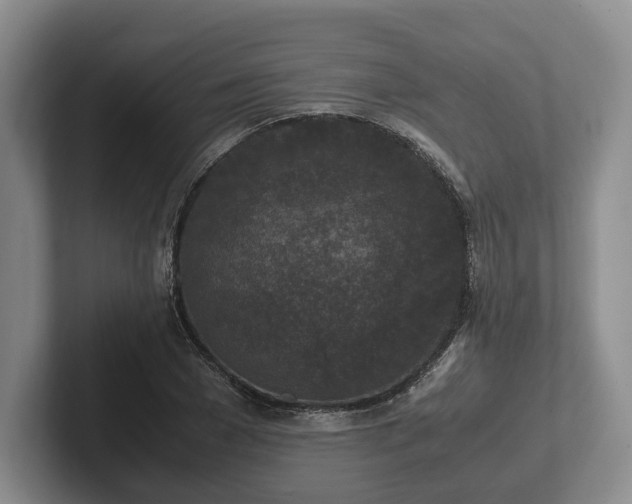 X0000102390977200808081224