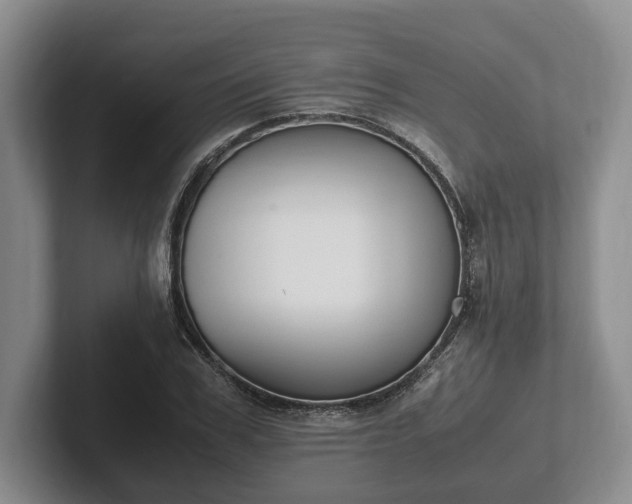 X0000102390979200808081224