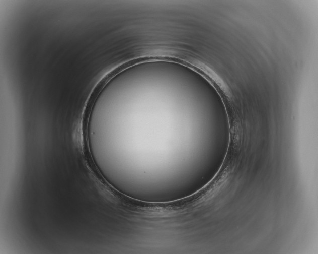 X0000102390980200808081224