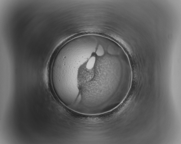 X0000102390983200808081224