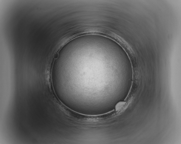 X0000102390985200808081224