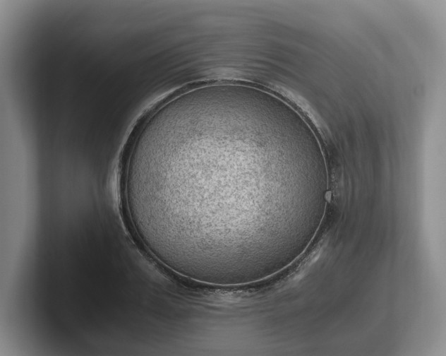 X0000102390987200808081224