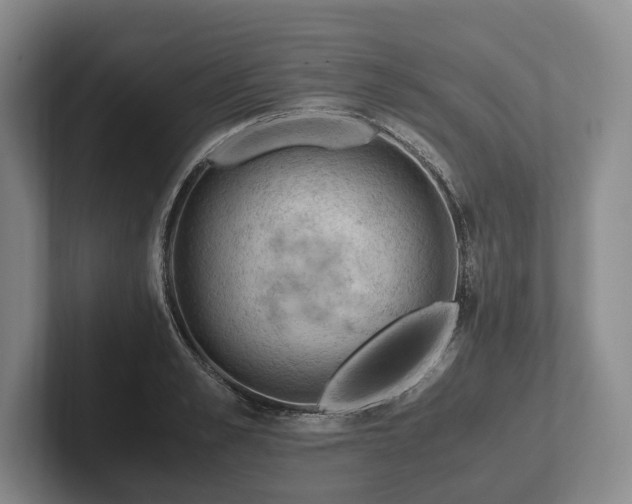 X0000102390989200808081224