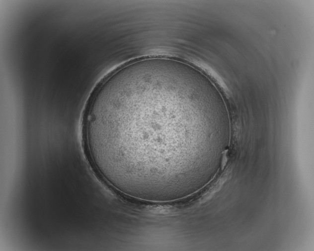 X0000102390991200808081224