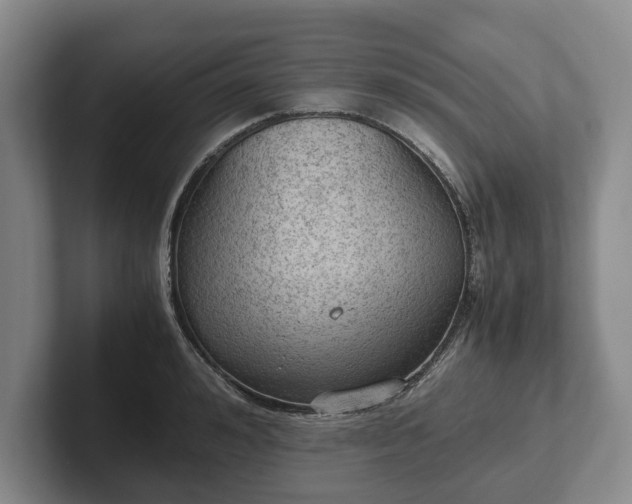 X0000102390992200808081224