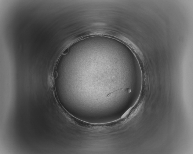 X0000102390993200808081224