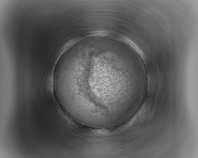 X0000102390994200808081223