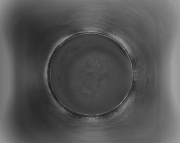 X0000102390995200808081223