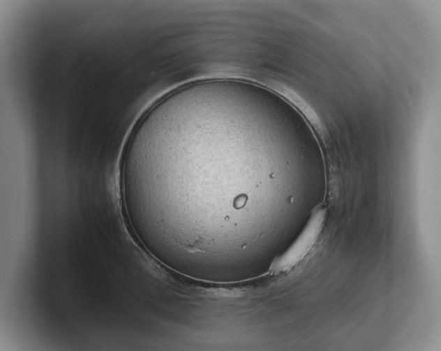 X0000102390996200808081223