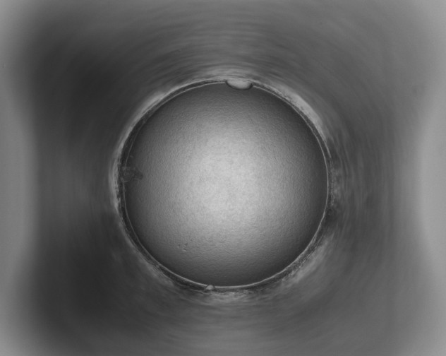 X0000102390997200808081223